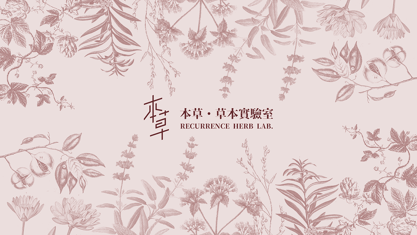 本草早期的粉色植物插畫品牌識別
