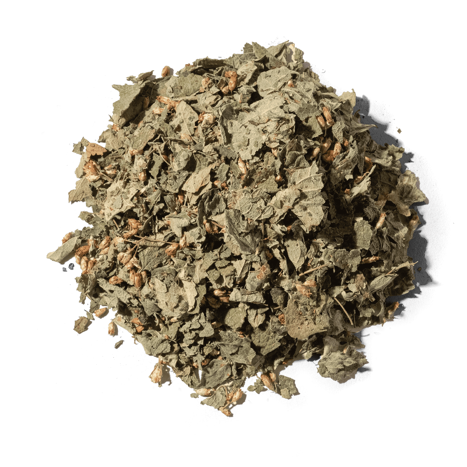 墨西哥夢境草